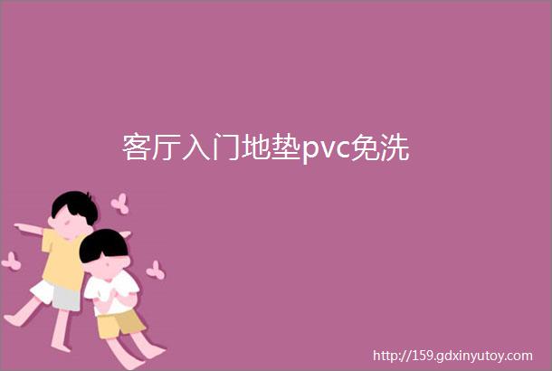 客厅入门地垫pvc免洗